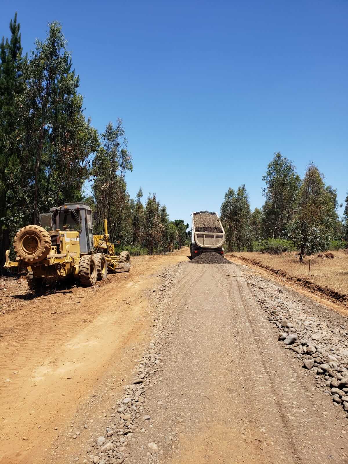 Construcción y Habilitación de Caminos Agrícolas y Forestales