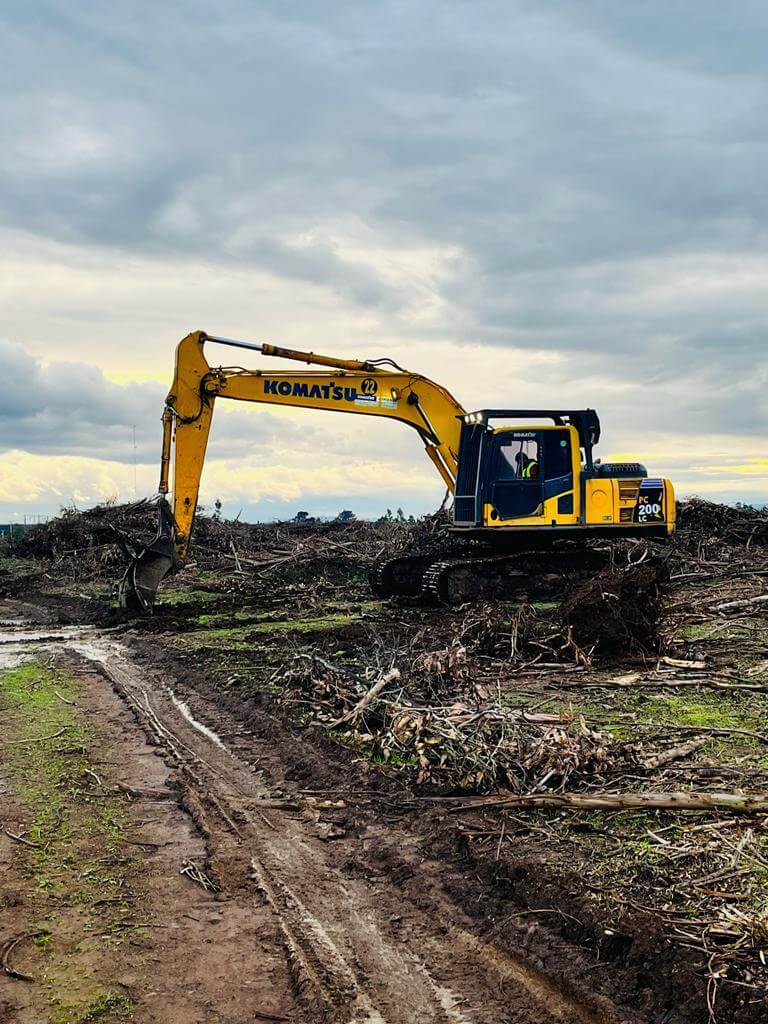 Ordenamiento de Desecho Forestal